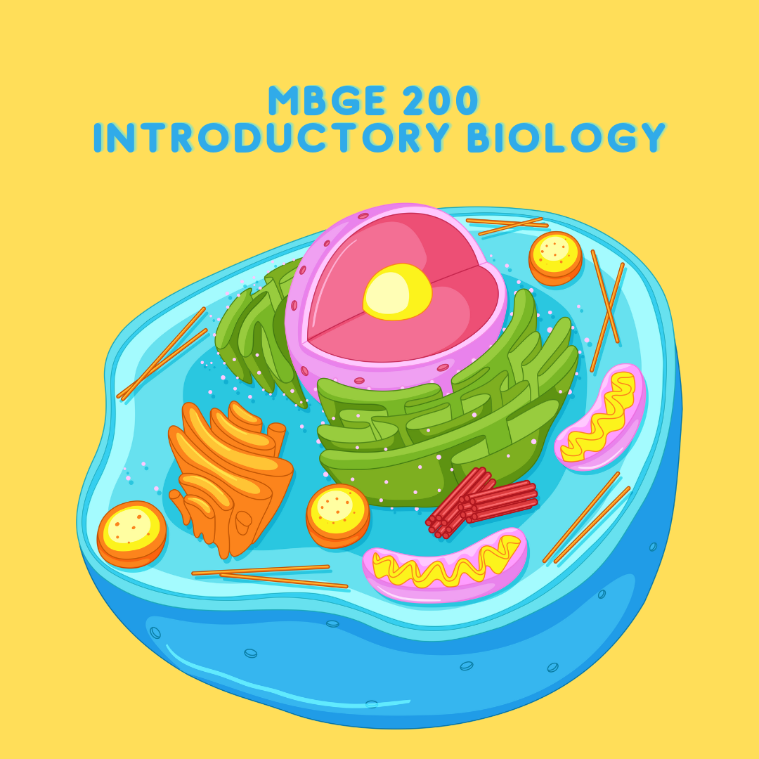 MBGE 200 - Introductory Biology - Midterm (S2024)